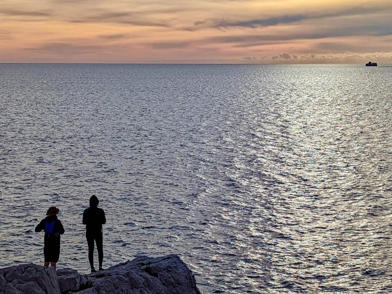 Vue Mer Le Panoramique Vieux-Port De Marseille Eksteriør bilde